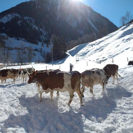Fusch an der GrossglocknerstrasseBio-Bauernhof Schiederhofアパートメント エクステリア 写真