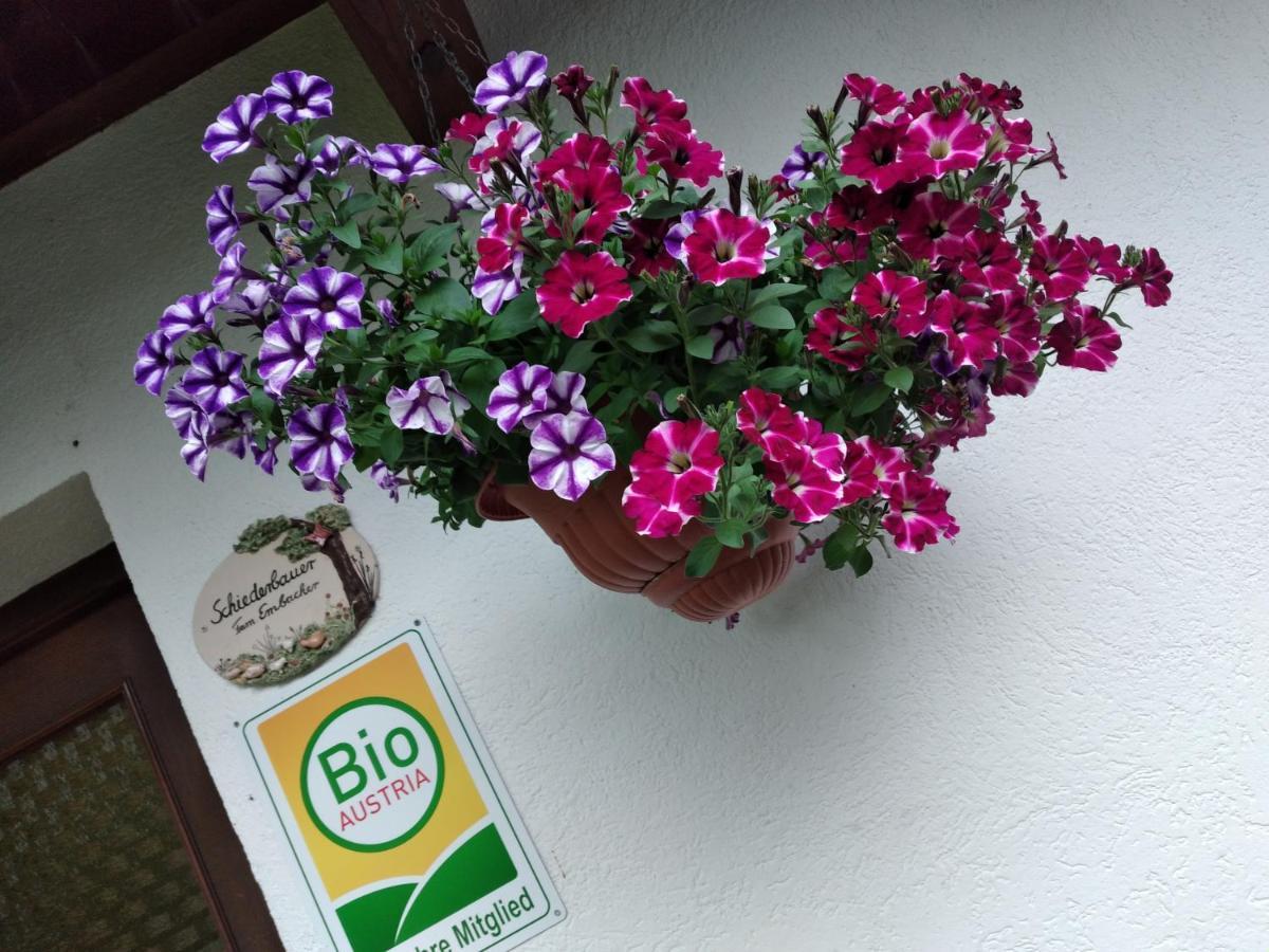 Fusch an der GrossglocknerstrasseBio-Bauernhof Schiederhofアパートメント エクステリア 写真
