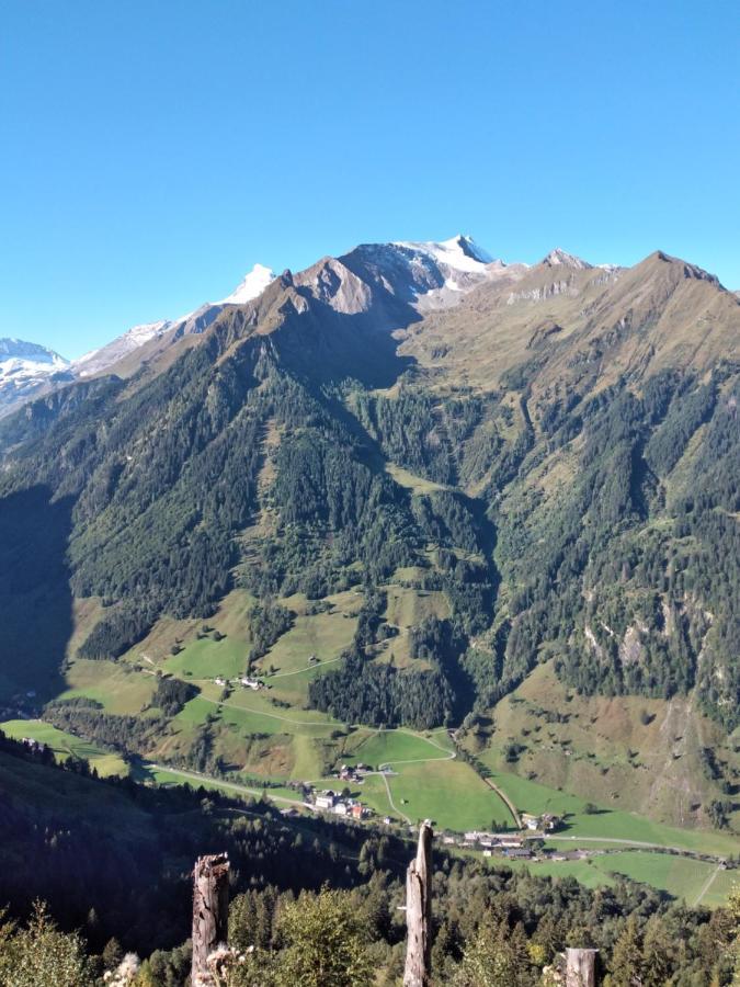 Fusch an der GrossglocknerstrasseBio-Bauernhof Schiederhofアパートメント エクステリア 写真