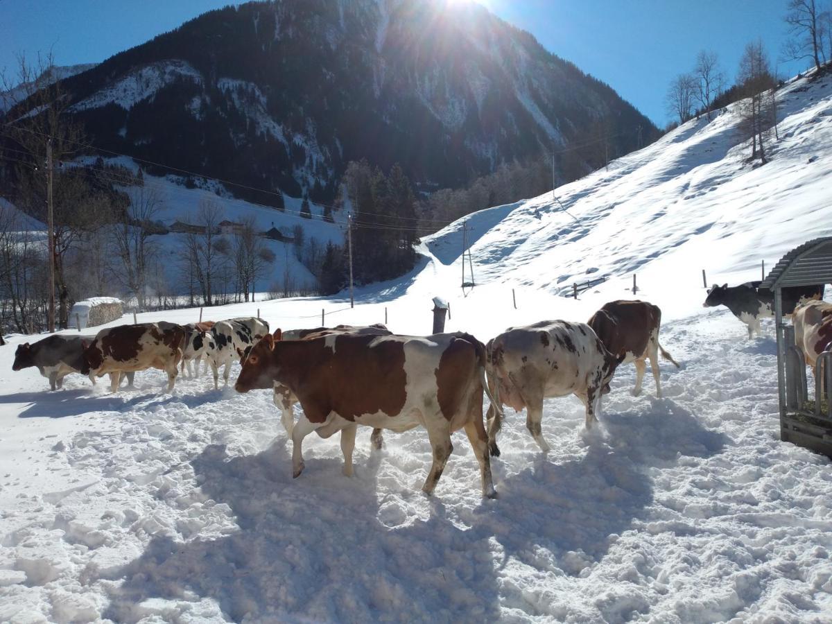 Fusch an der GrossglocknerstrasseBio-Bauernhof Schiederhofアパートメント エクステリア 写真