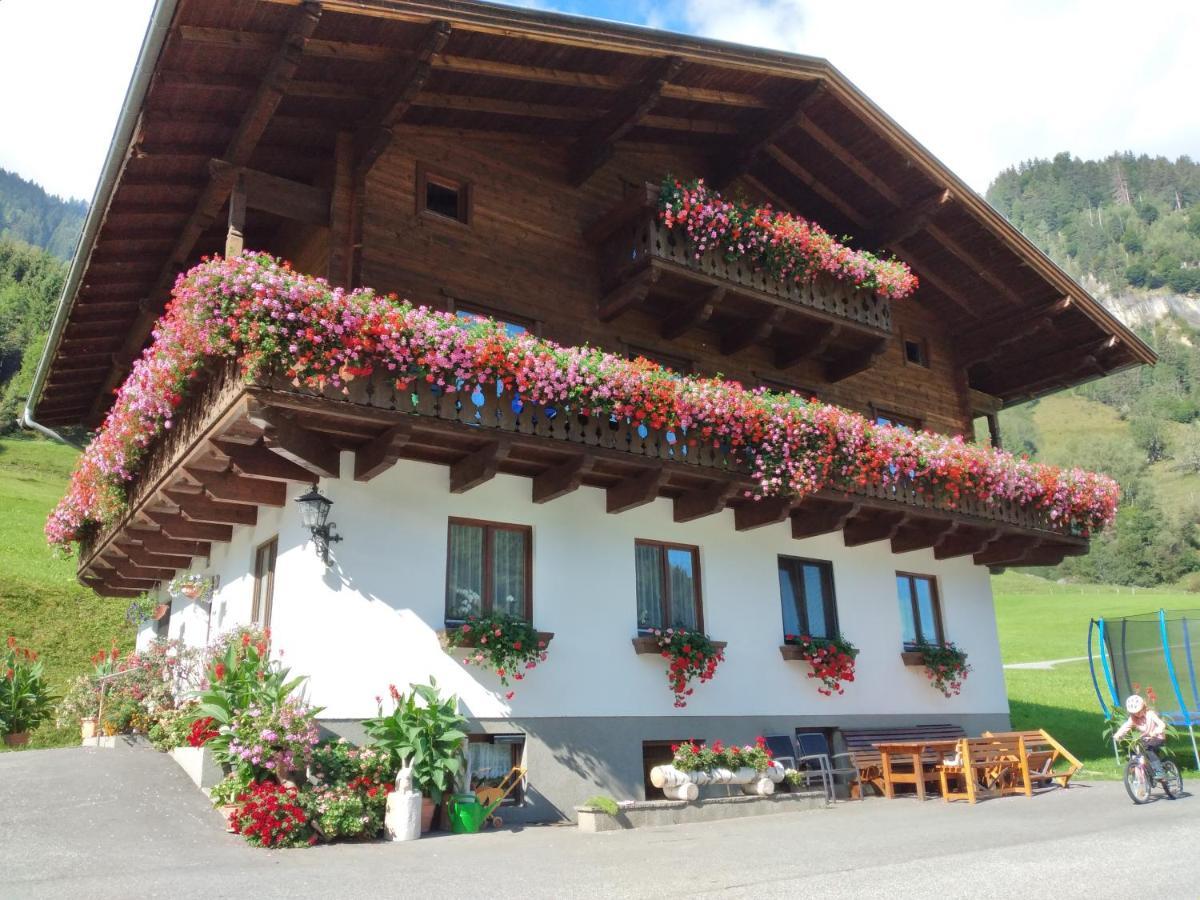 Fusch an der GrossglocknerstrasseBio-Bauernhof Schiederhofアパートメント エクステリア 写真